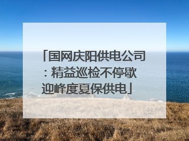 国网庆阳供电公司：精益巡检不停歇 迎峰度夏保供电