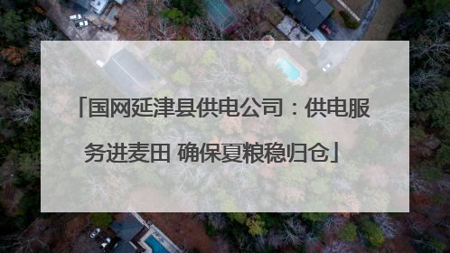 国网延津县供电公司：供电服务进麦田 确保夏粮稳归仓