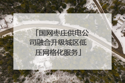 国网枣庄供电公司融合升级城区低压网格化服务