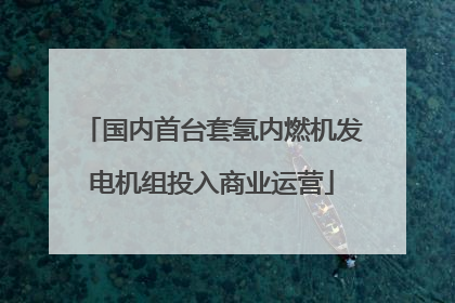 国内首台套氢内燃机发电机组投入商业运营