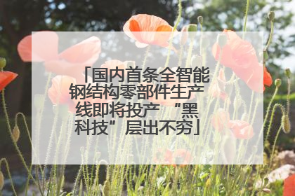 国内首条全智能钢结构零部件生产线即将投产 “黑科技”层出不穷