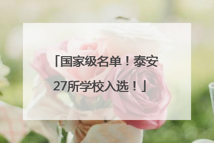 国家级名单！泰安27所学校入选！