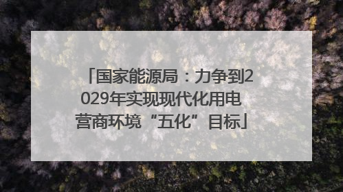 国家能源局：力争到2029年实现现代化用电营商环境“五化”目标