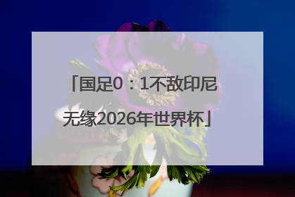 国足0：1不敌印尼 无缘2026年世界杯