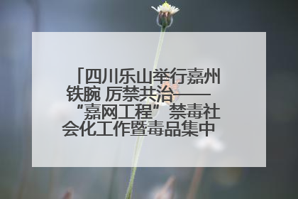 四川乐山举行嘉州铁腕 厉禁共治——“嘉网工程”禁毒社会化工作暨毒品集中销毁启动仪式
