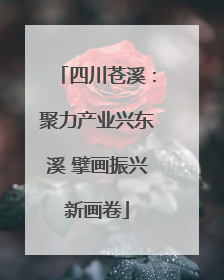四川苍溪：聚力产业兴东溪 擘画振兴新画卷