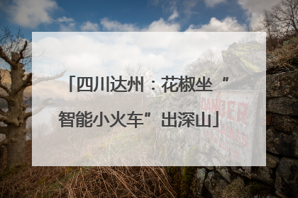 四川达州：花椒坐“智能小火车”出深山