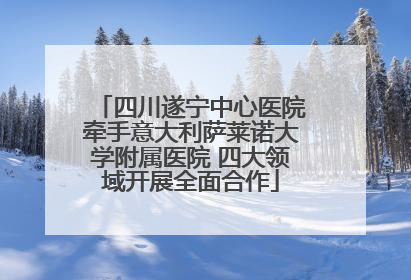 四川遂宁中心医院牵手意大利萨莱诺大学附属医院 四大领域开展全面合作