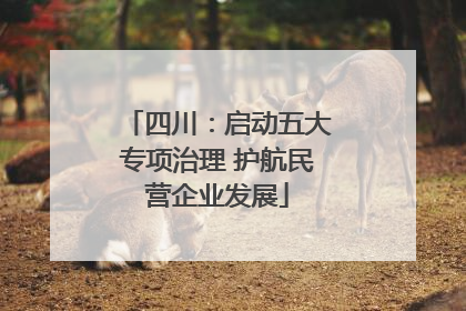 四川：启动五大专项治理 护航民营企业发展