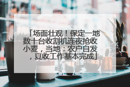 场面壮观！保定一地数十台收割机连夜抢收小麦，当地：农户自发，夏收工作基本完成