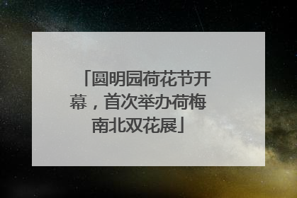 圆明园荷花节开幕，首次举办荷梅南北双花展