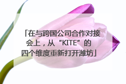 在与跨国公司合作对接会上，从“KITE”的四个维度重新打开潍坊