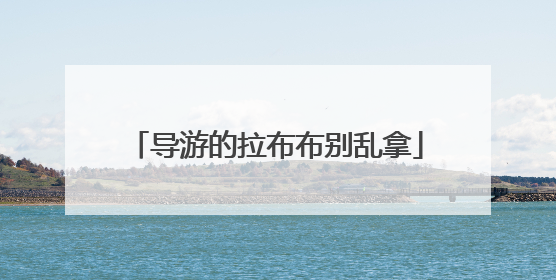 导游的拉布布别乱拿