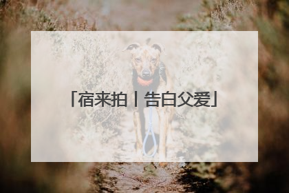 宿来拍丨告白父爱