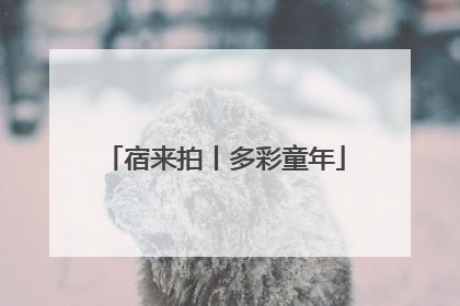 宿来拍丨多彩童年