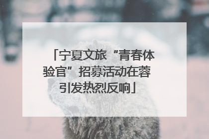 宁夏文旅“青春体验官”招募活动在蓉引发热烈反响