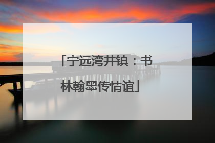 宁远湾井镇：书林翰墨传情谊