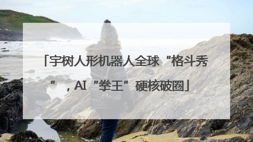 宇树人形机器人全球“格斗秀”，AI“拳王”硬核破圈