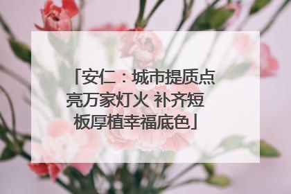 安仁：城市提质点亮万家灯火 补齐短板厚植幸福底色