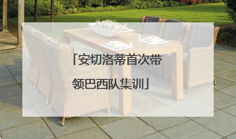 安切洛蒂首次带领巴西队集训