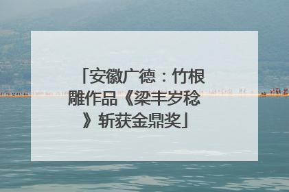 安徽广德：竹根雕作品《梁丰岁稔》斩获金鼎奖