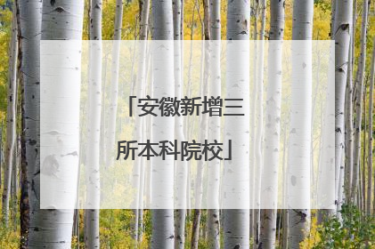 安徽新增三所本科院校