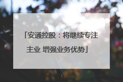 安通控股：将继续专注主业 增强业务优势