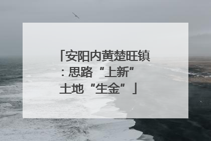 安阳内黄楚旺镇：思路“上新” 土地“生金”