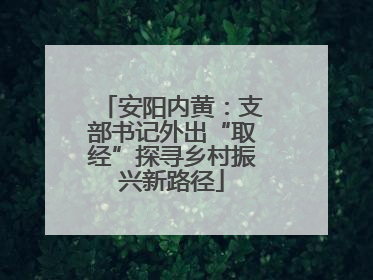 安阳内黄：支部书记外出“取经”探寻乡村振兴新路径