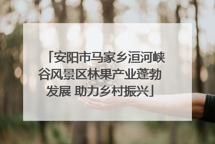 安阳市马家乡洹河峡谷风景区林果产业蓬勃发展 助力乡村振兴