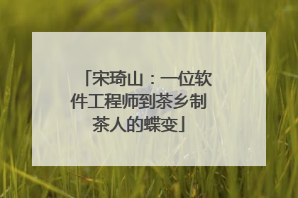 宋琦山：一位软件工程师到茶乡制茶人的蝶变