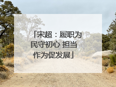 宋超：履职为民守初心 担当作为促发展