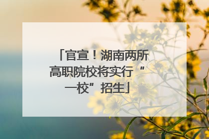 官宣！湖南两所高职院校将实行“一校”招生