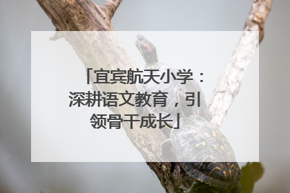 宜宾航天小学：深耕语文教育，引领骨干成长