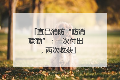 宜昌消防“防消联勤”：一次付出，两次收获