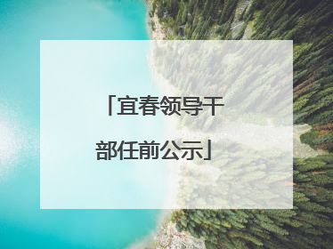 宜春领导干部任前公示