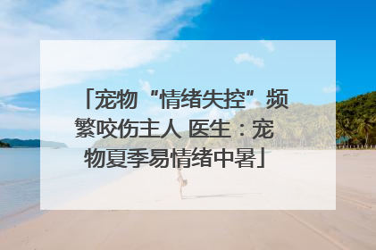 宠物“情绪失控”频繁咬伤主人 医生：宠物夏季易情绪中暑