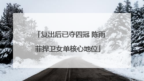 复出后已夺四冠 陈雨菲捍卫女单核心地位