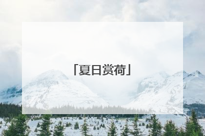夏日赏荷