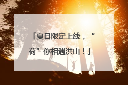 夏日限定上线，“荷”你相遇洪山！