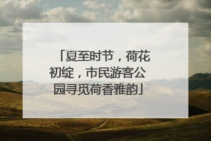 夏至时节，荷花初绽，市民游客公园寻觅荷香雅韵