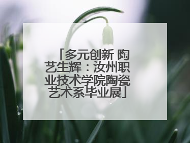 多元创新 陶艺生辉：汝州职业技术学院陶瓷艺术系毕业展