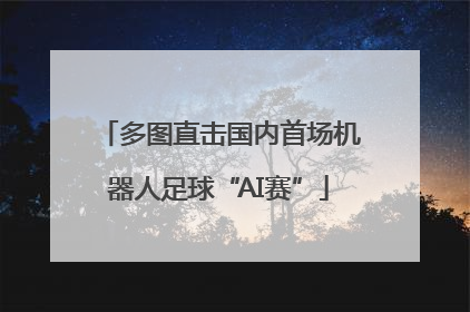 多图直击国内首场机器人足球“AI赛”