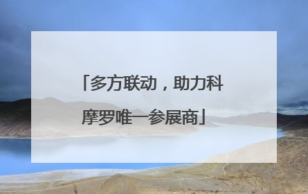 多方联动，助力科摩罗唯一参展商