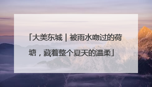 大美东城｜被雨水吻过的荷塘，藏着整个夏天的温柔