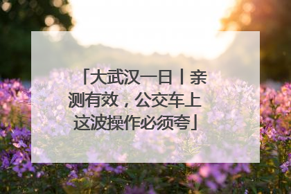 大武汉一日丨亲测有效，公交车上这波操作必须夸