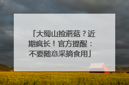 大蜀山捡蘑菇？近期疯长！官方提醒：不要随意采摘食用