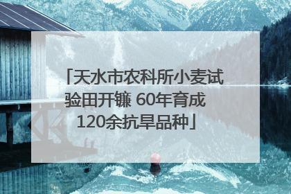 天水市农科所小麦试验田开镰 60年育成120余抗旱品种