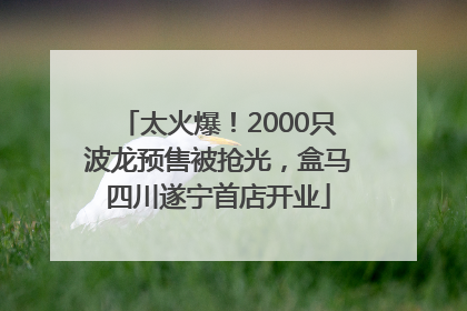 太火爆！2000只波龙预售被抢光，盒马四川遂宁首店开业