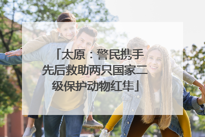 太原：警民携手 先后救助两只国家二级保护动物红隼